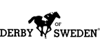 Derby Of Sweden