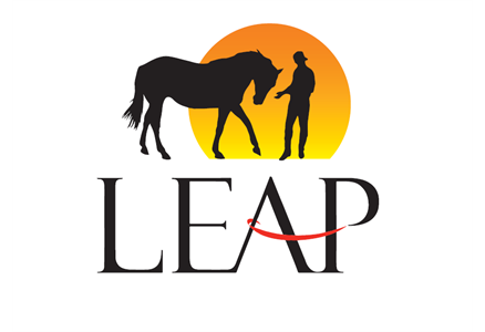 Leap Equine