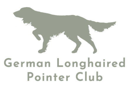 German Longhaired Pointer Club