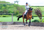 Woofwear Equestrian Products