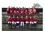 Equestrian Teams ,Clubs & Societies' Webshops