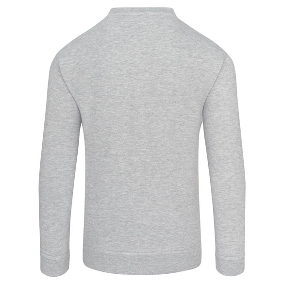 Kite SweatShirt