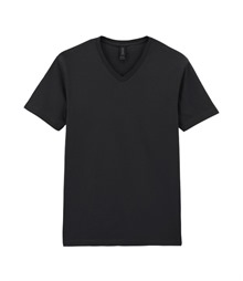 Softstyle? v-neck t-shirt