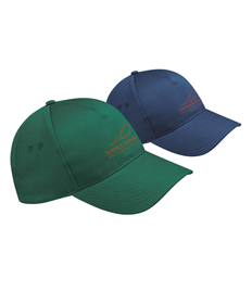 NSFTC Baseball Cap